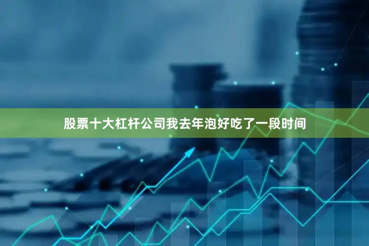 股票十大杠杆公司我去年泡好吃了一段时间